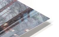 Misty Forest HD Metal print