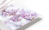 Pink Flora Set HD Metal print