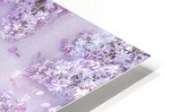 Lilac Flowers HD Metal print