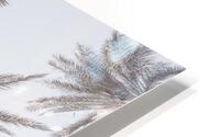 Palm Tops HD Metal print