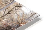 Make Your Own Path HD Metal print