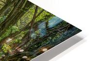 Journey through Forest HD Metal print