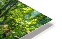 Forest Gate HD Metal print