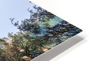 Enchanted Misty Forest HD Metal print