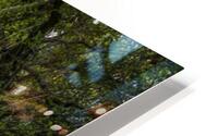 Journey through Forest HD Metal print