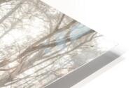 Misty Forest HD Metal print