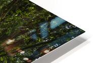 Journey through Forest HD Metal print