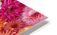 Blossom Medley HD Metal print