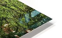 Flourishing Path HD Metal print