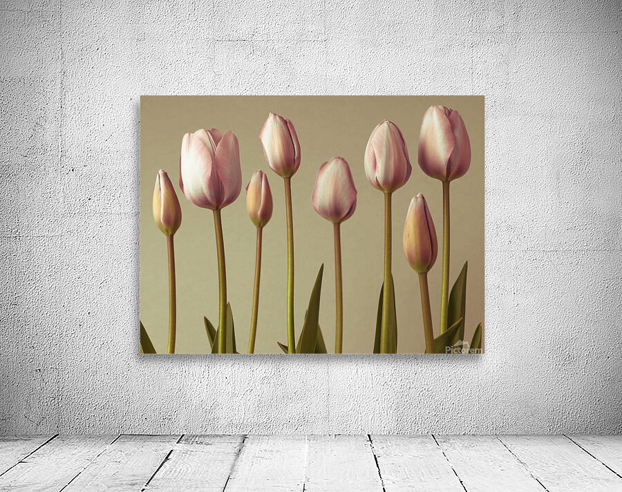 Emerging Elegance Wall Preview