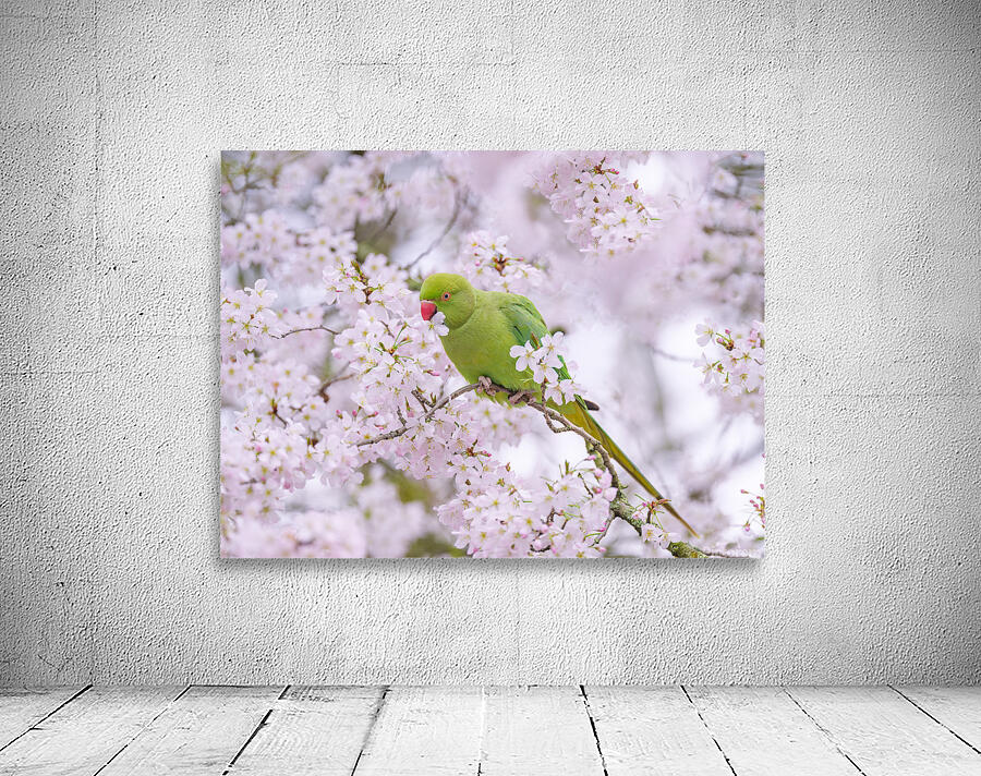 Blossom Bird Wall Preview