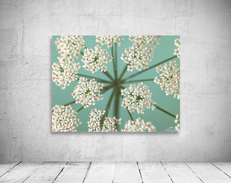 Delicate Blooms Wall Preview