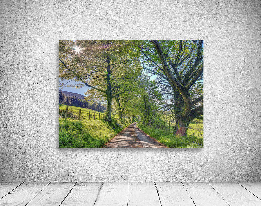 Countryside Road Wall Preview