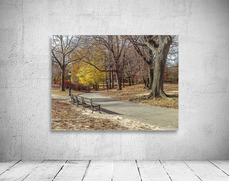 Central Park  Wall Preview