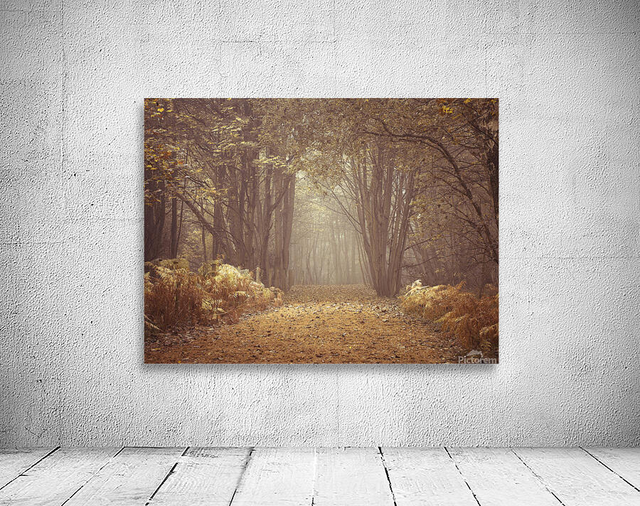 Forest Walkway Wall Preview