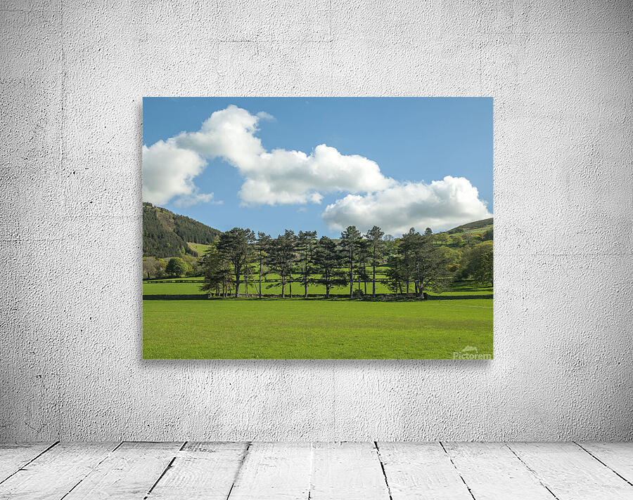 Countryside meadow Wall Preview