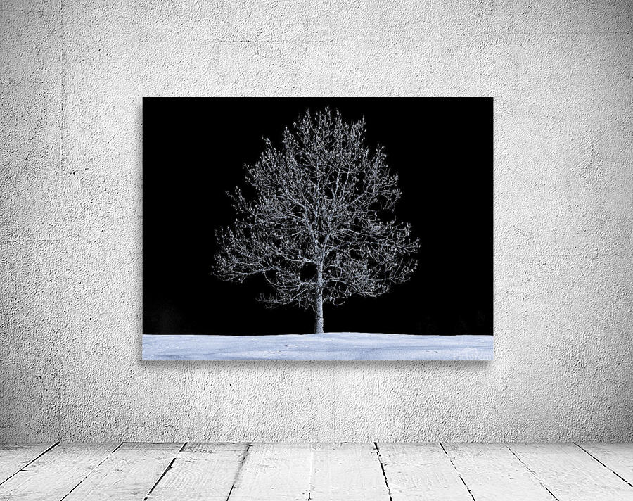 Snowy Tree Winter Wall Preview