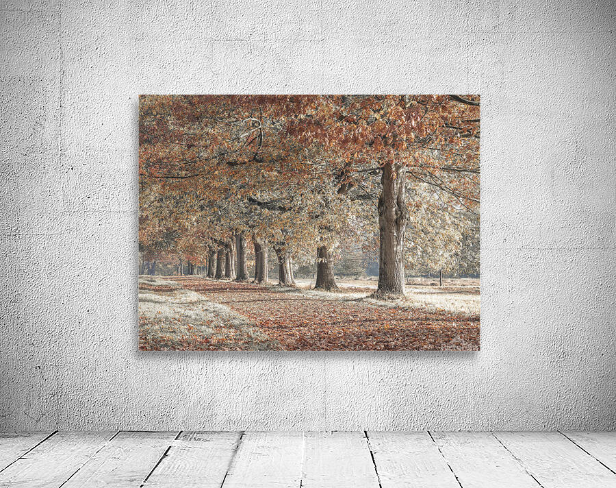 Fall Splendor Wall Preview