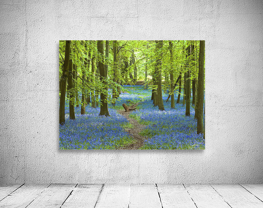 Azure Pathway Wall Preview