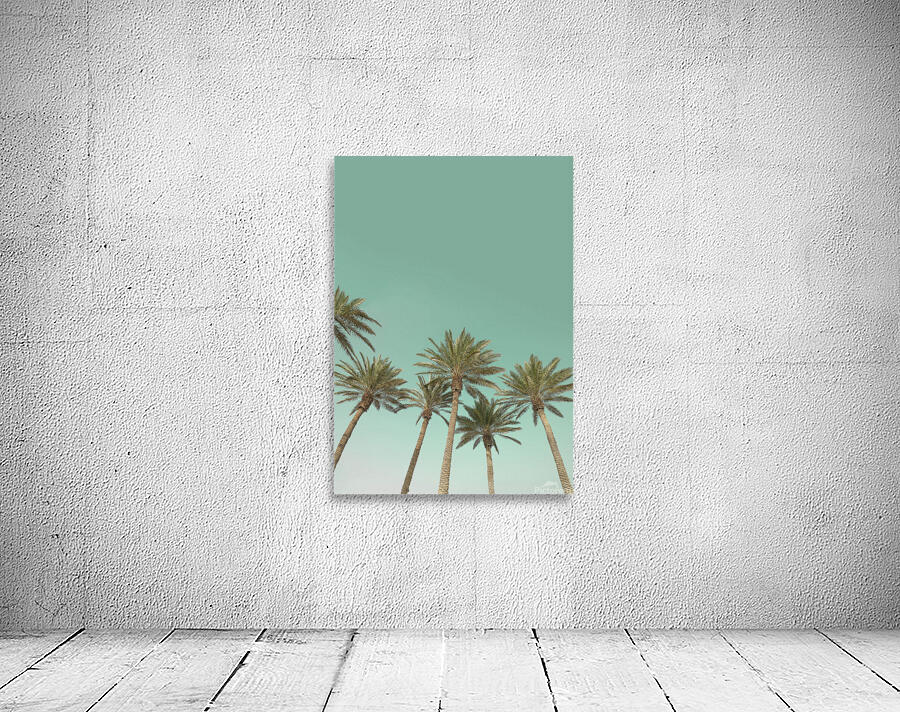 Palm trees Wall Preview