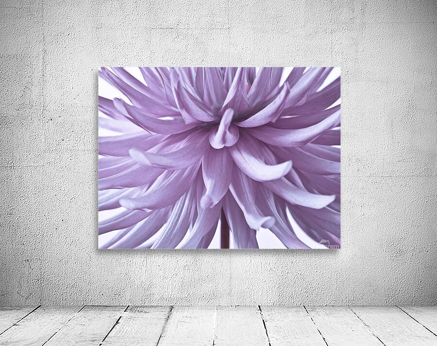 Spiky Petals Wall Preview