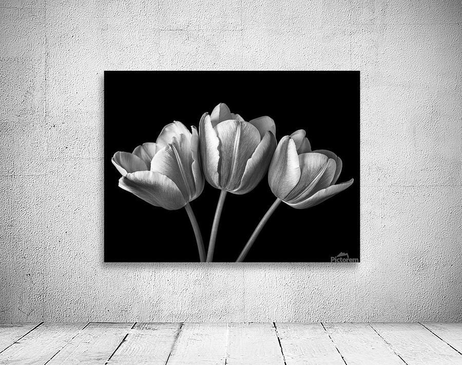 Fresh Blooms Wall Preview