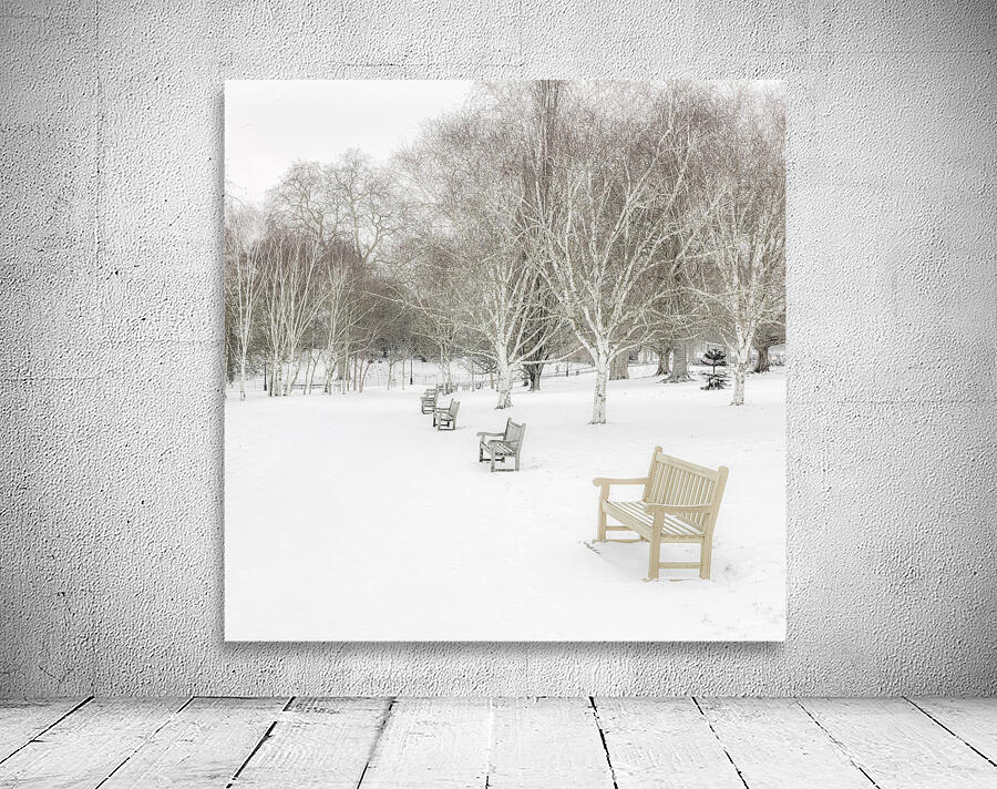 White Winter Wall Preview