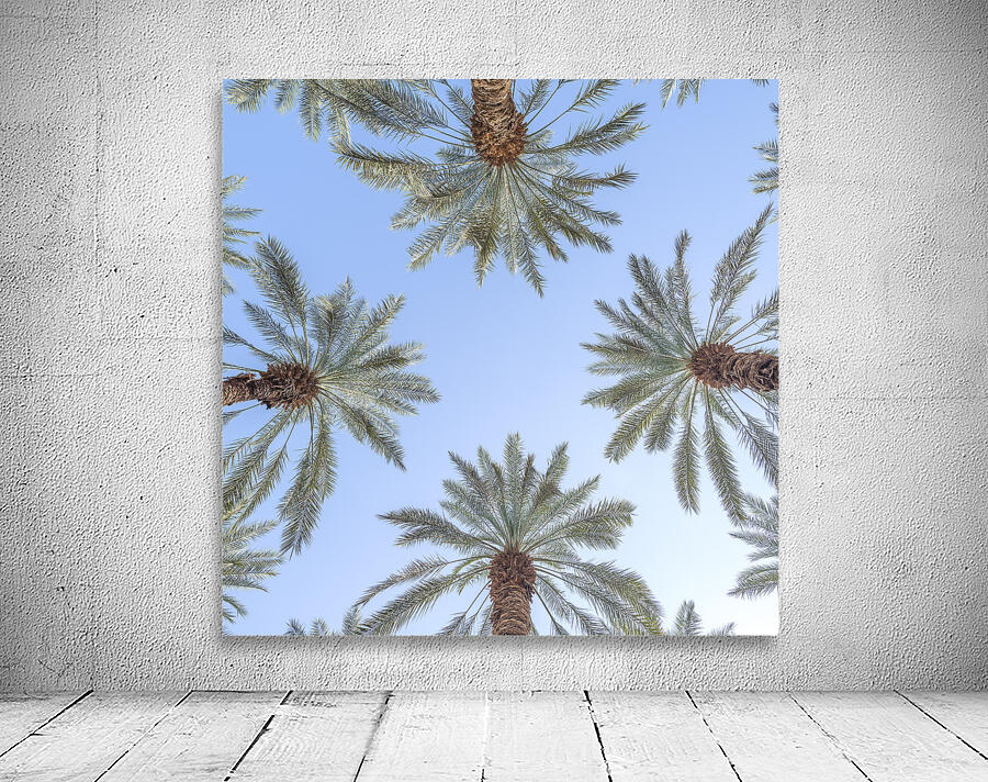 Palm Trees Wall Preview
