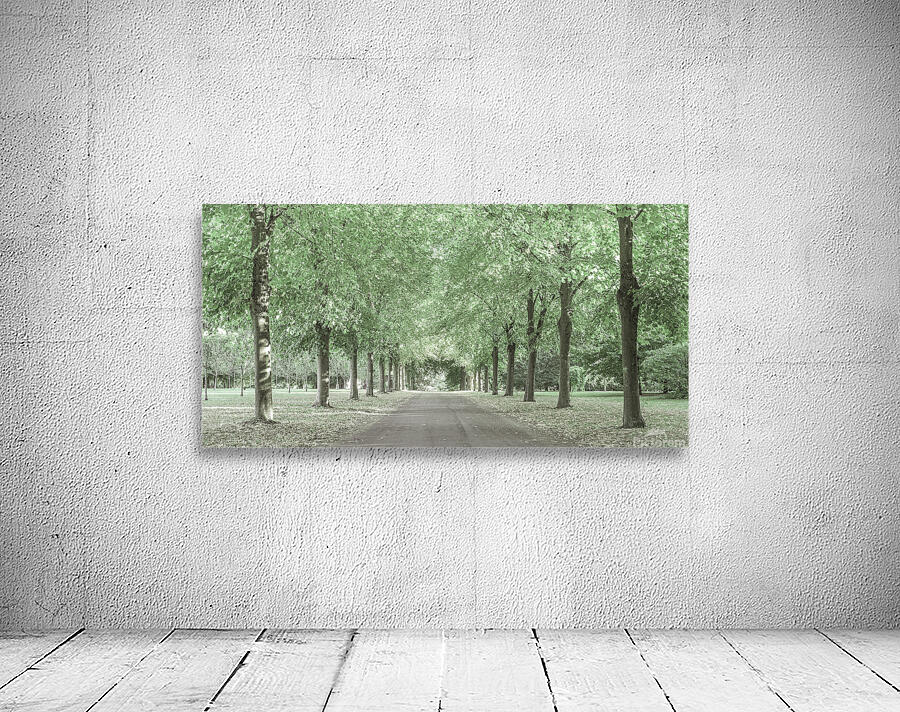 Pathway through trees Wall Preview