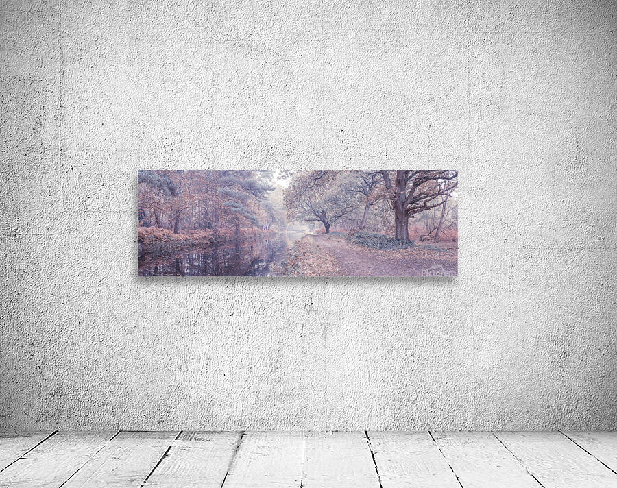 Misty Canal Wall Preview