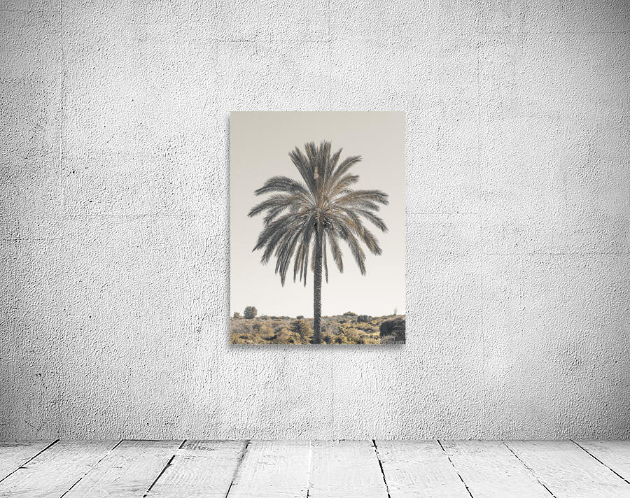 Palm Tree Wall Preview