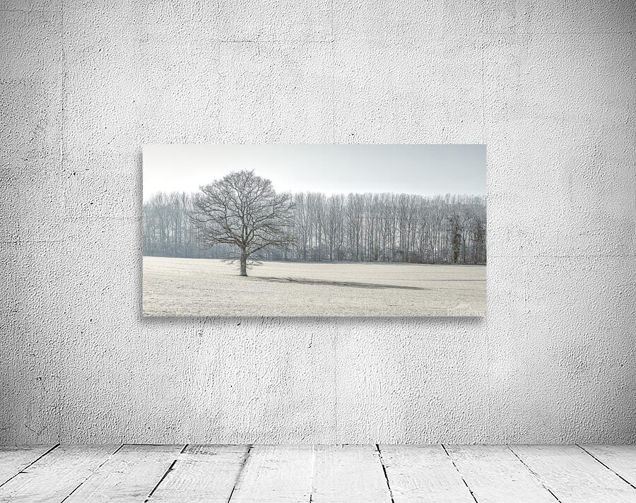 Trees on field Wall Preview