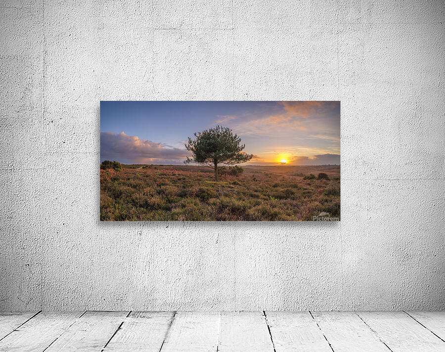 Single tree in meadow Wall Preview