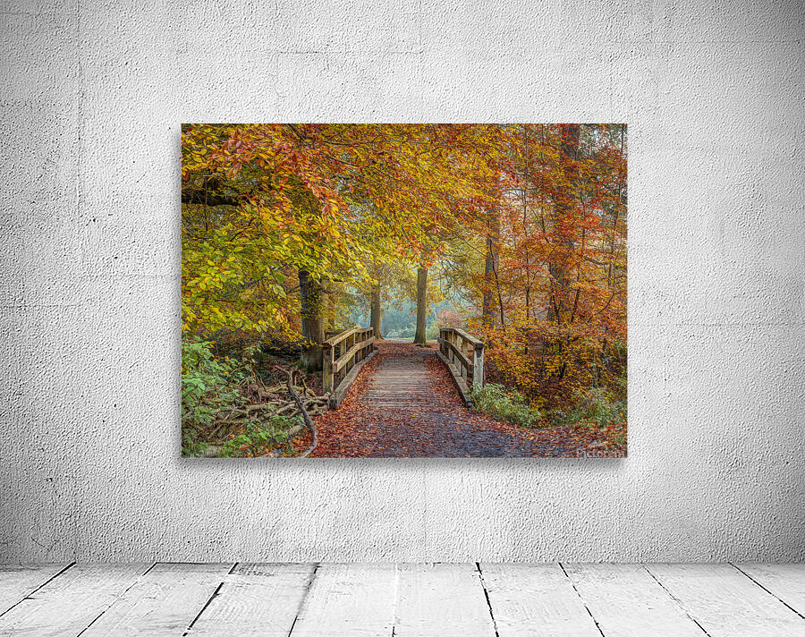 Tranquil Transition Wall Preview