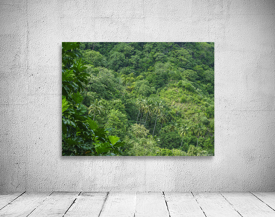 Evergreen Forest Wall Preview