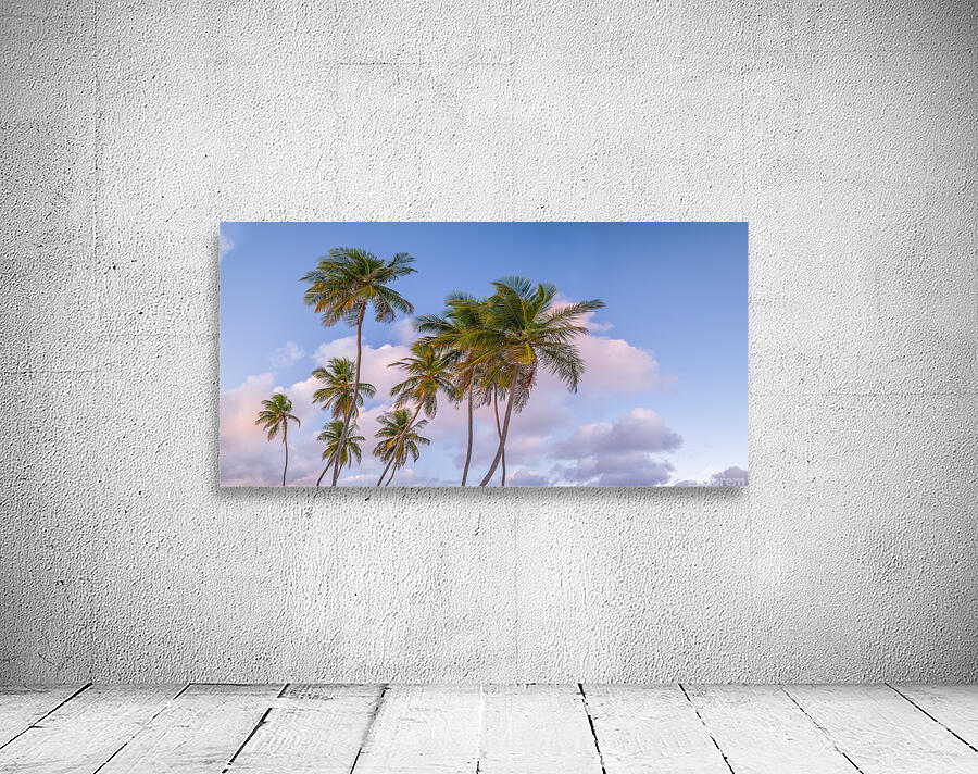 Tropical Palms Evening Wall Preview