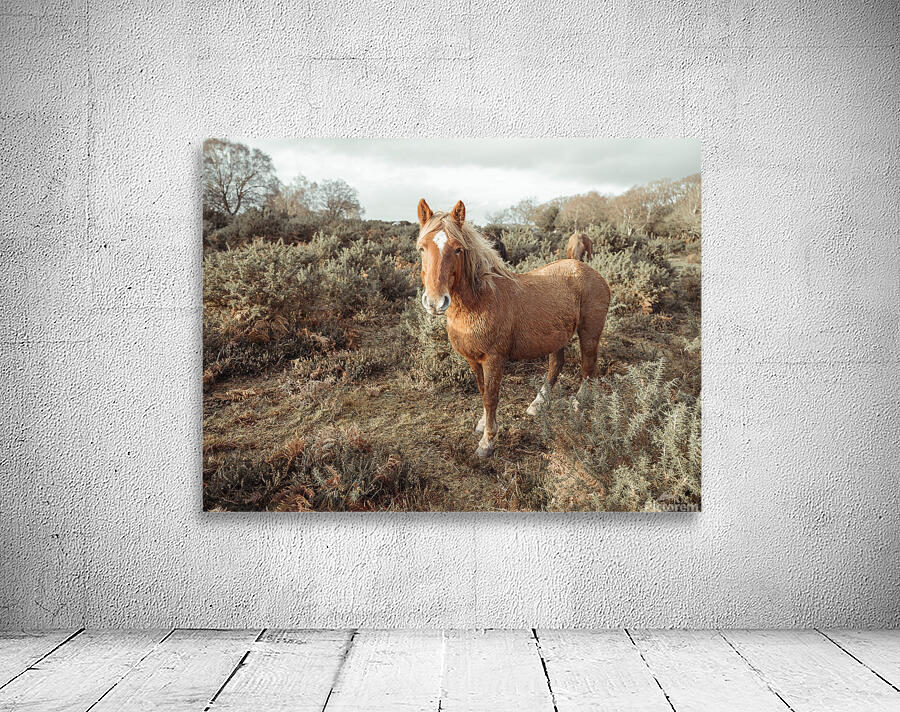 Graceful Wanderer Wall Preview