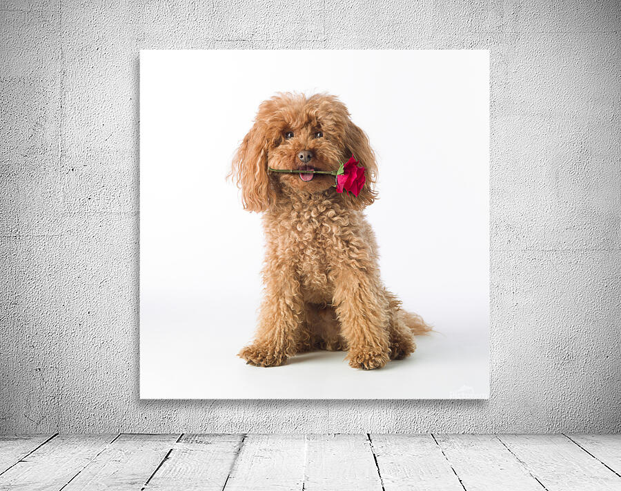 This is for you Wall Preview