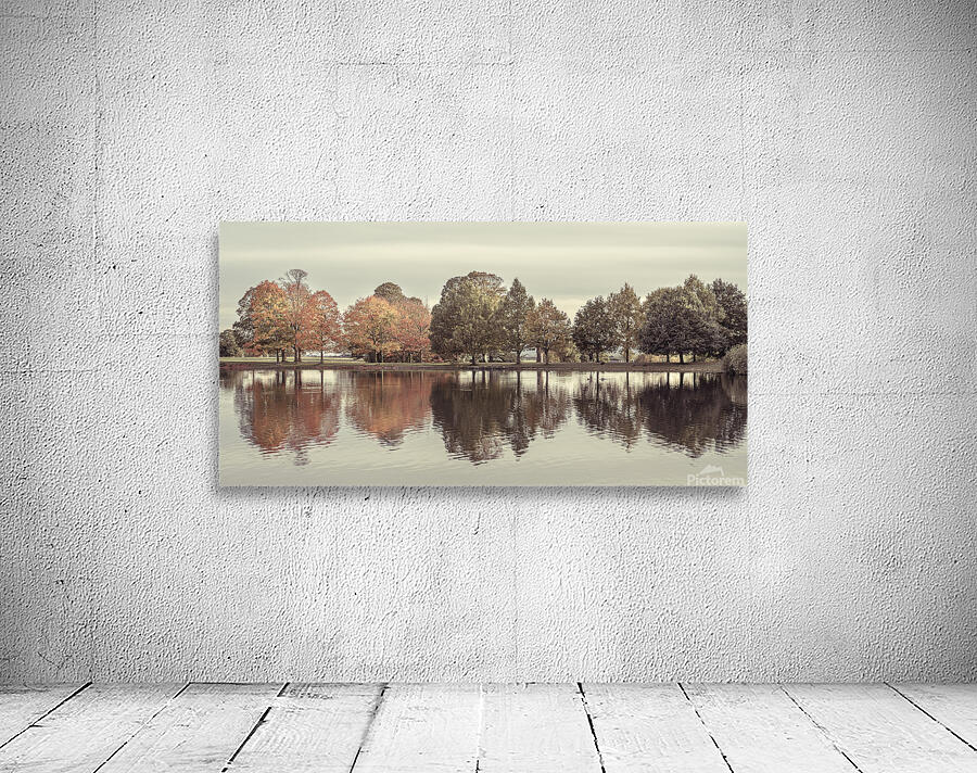 Trees By Lake Wall Preview