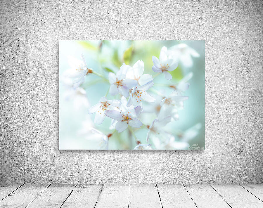 Springtime Blossoms Wall Preview