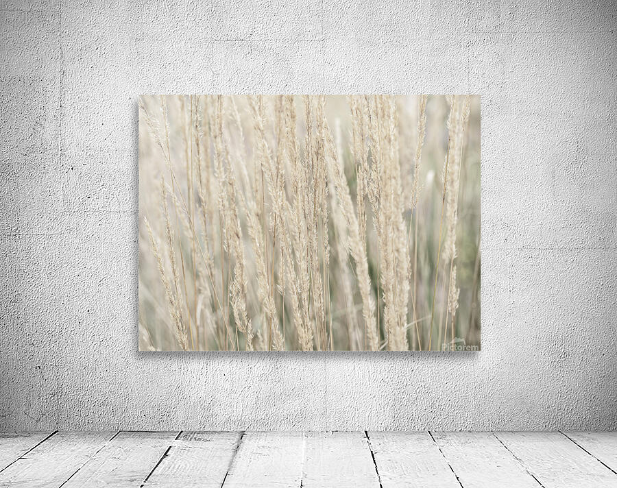 Ornamental Grass Wall Preview
