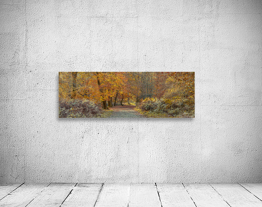 Pathway through Autumn Forest Wall Preview