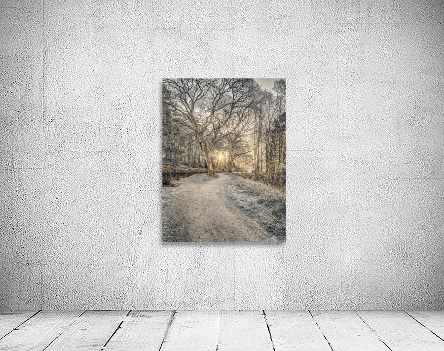 Forest Pathway Wall Preview