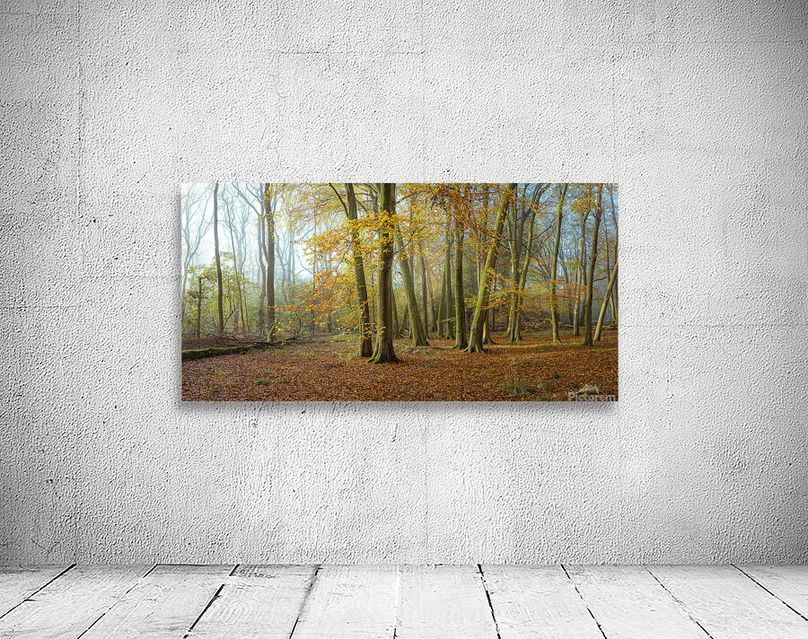 Autumn forest Wall Preview
