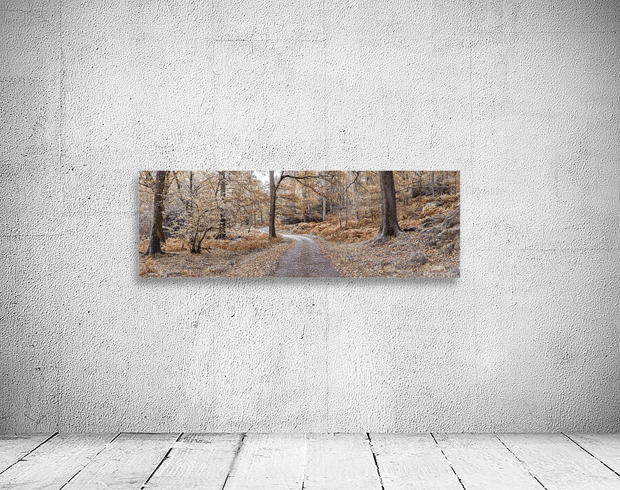 Winding Through the Woods Wall Preview