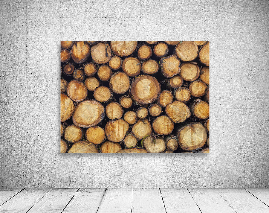 Wood logs Wall Preview