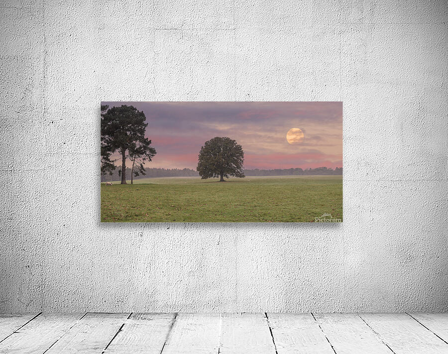 Trees in Meadow Wall Preview