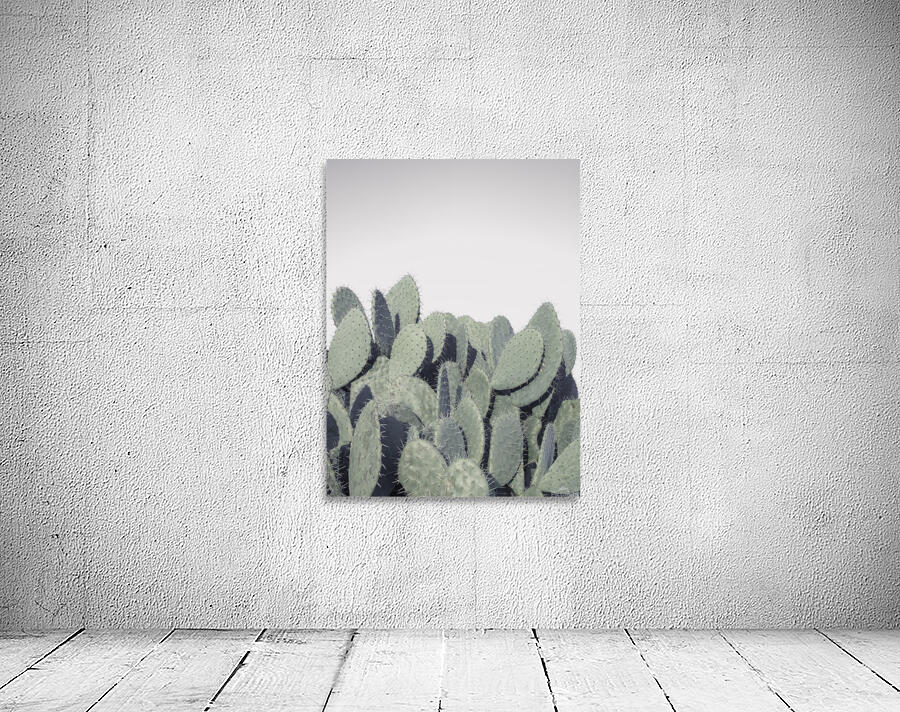 Cacti Wall Preview