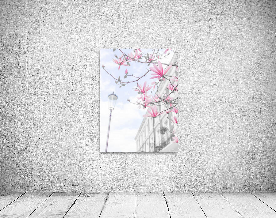 Magnolia flowers Wall Preview
