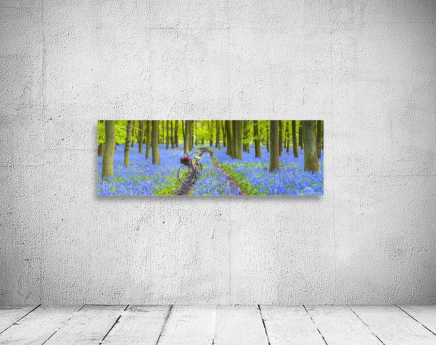 Bicycle in spring forest Wall Preview